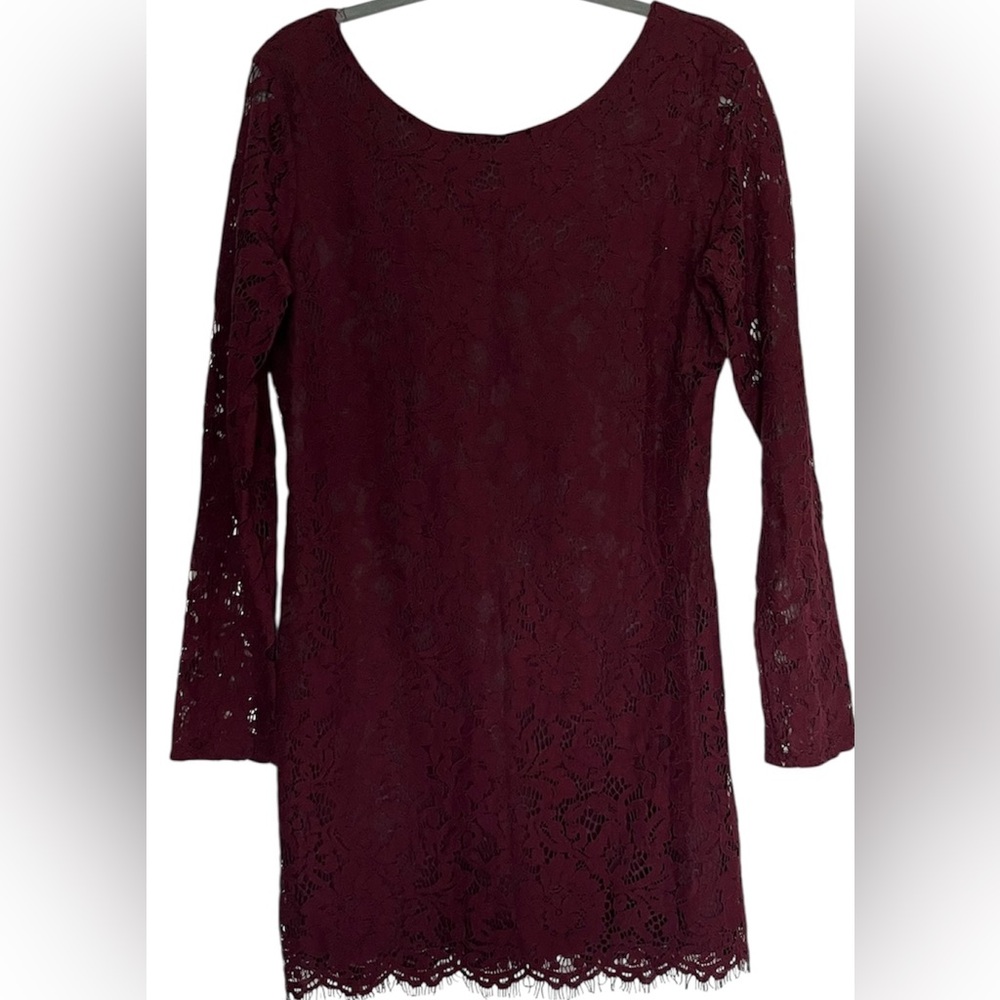 She + Sky Deep Wine Lace Overlay Mini Dress Sz L NWT
